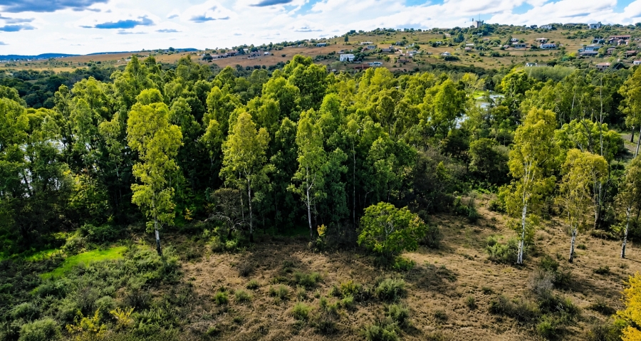 0 Bedroom Property for Sale in Vaal Eden Free State